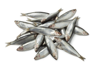 Szproty baltycki cale mrozony pakowany 1kg