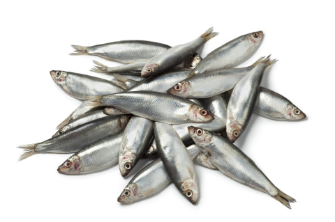 Szproty baltycki cale mrozony pakowany 1kg Szproty baltycki cale mrozony pakowany 1kg