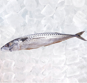 Makrela patroszona gleboko mrozona 100g Makrela patroszona gleboko mrozona 100g