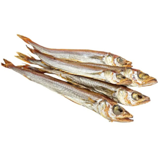 błękitek Atlantyki suszony 100gram