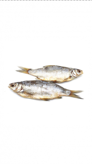 Ryba Ploc suszona 100gram